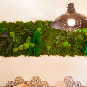 jadrines-verticales-2